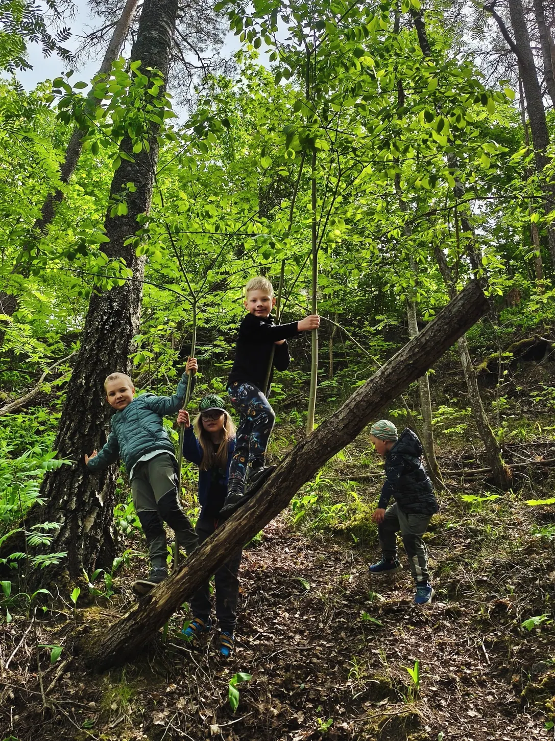 Lapsed mängivad metsas