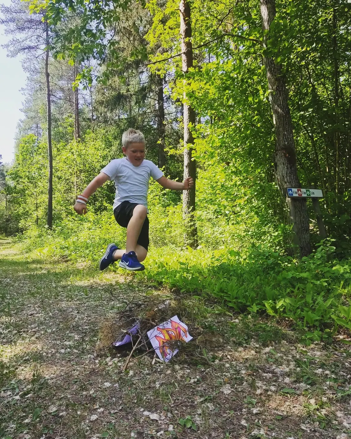 Jaanipäev metsas