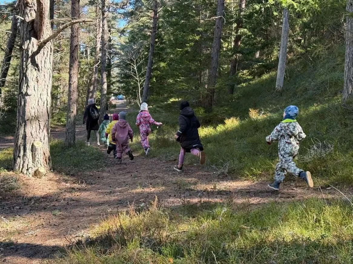 Mänguline metsasünnipäev